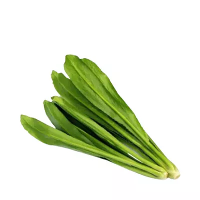 বিলাতি ধোনিয়া পাতা ১০০ গ্রাম | Long Coriander Leaves (Bilati Dhonia Pata)