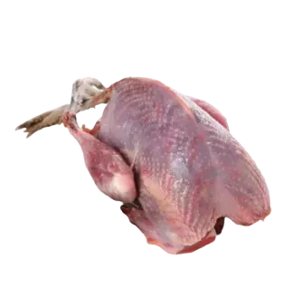 কবুতরের মাংস ১ পিস | Pigeon Meat